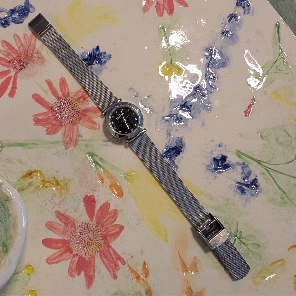 Skagen Watch